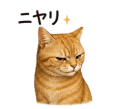841564874