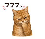 841564885