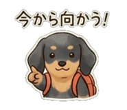 841565267