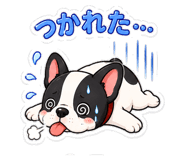 841565306