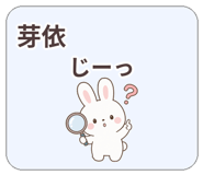 841573750