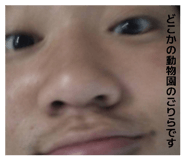 841574409
