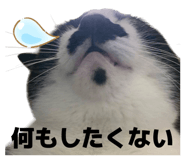841575535