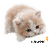841575592