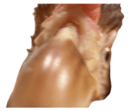 841575796