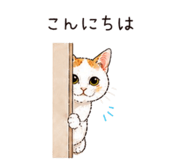 841577407