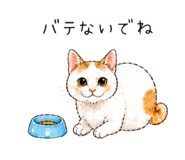 841577412