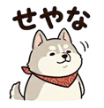841577823
