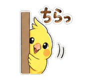 841577880