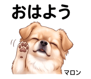 841578705