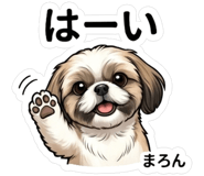 841579081