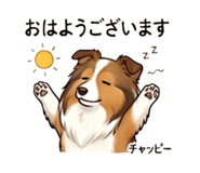 841579097