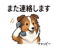 841579116