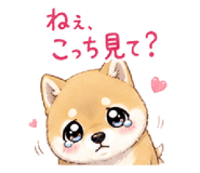 841579326