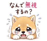 841579333