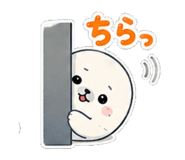 841579800