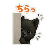 841579912