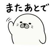 841580080