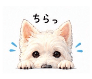 841580377
