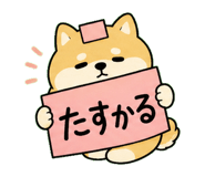 841580433