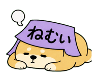 841580437