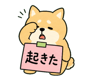 841580451