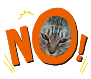 841589931