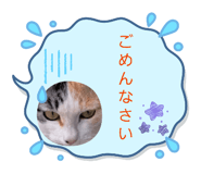 841589932