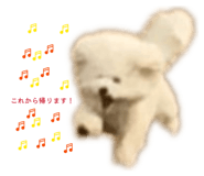 841589966