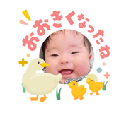 841590016