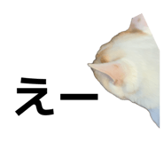 841590670