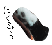 841591804