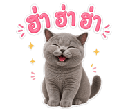 841601104