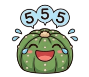 841601250