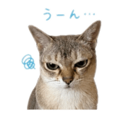 841601559