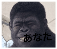 841601926