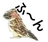 841601936