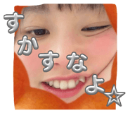 841602517