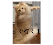 841602977