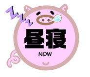 841603255