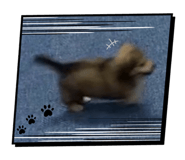841603716