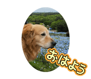 841603730