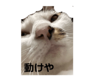 841603866