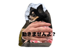 841603874