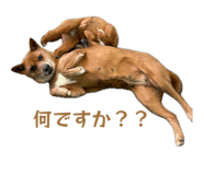 841610477