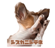 841610800