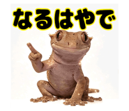 841612733