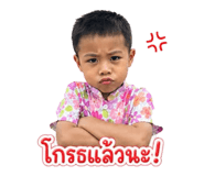841613297