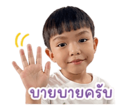 841613881