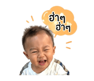 841614116